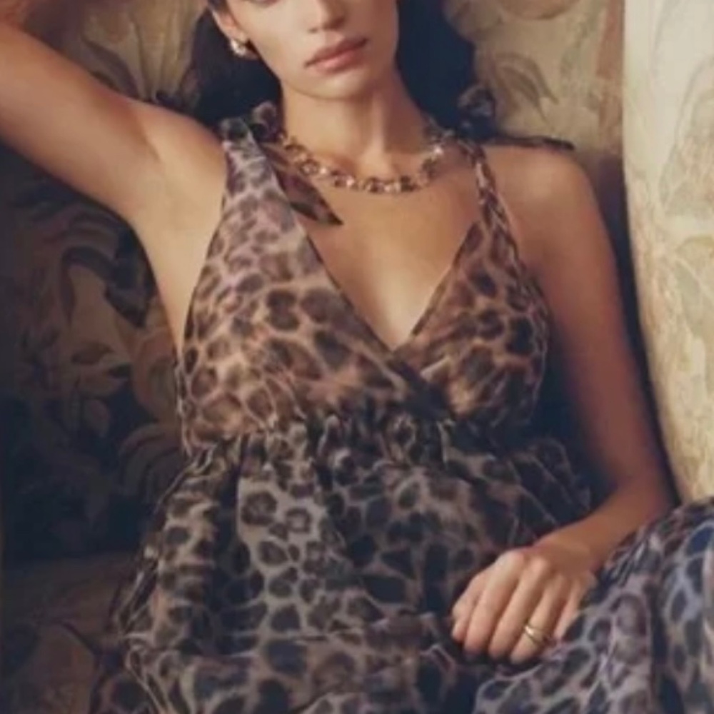 Daniel Rainn Organza Animal Print Dress sz XS